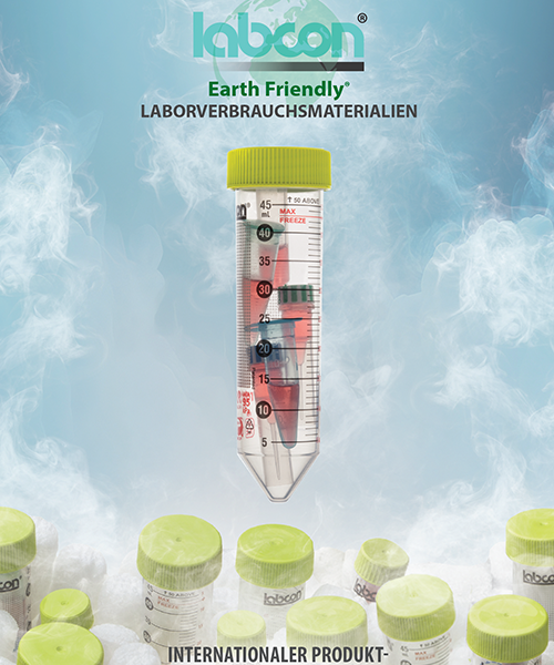 2025 Catalog