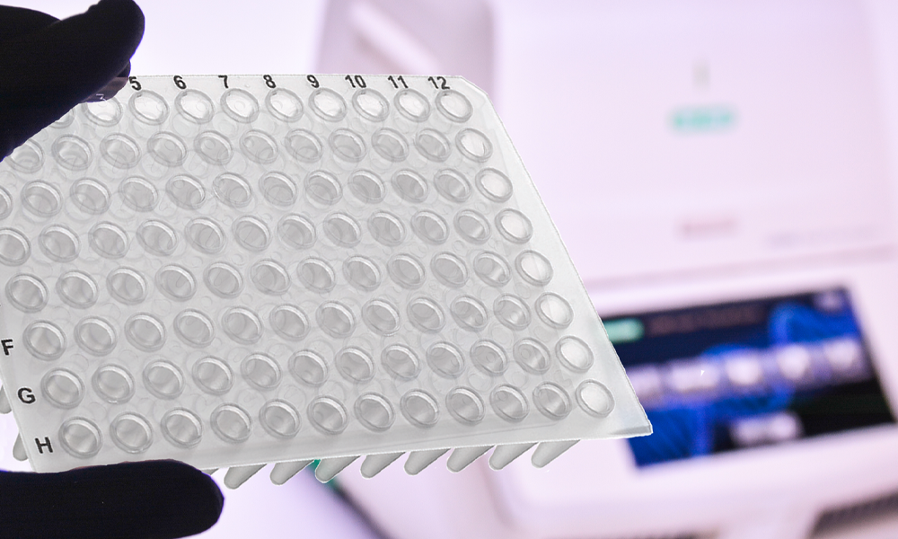 PCR plates